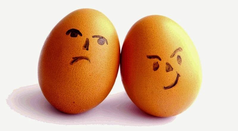 los huevos dan colesterol